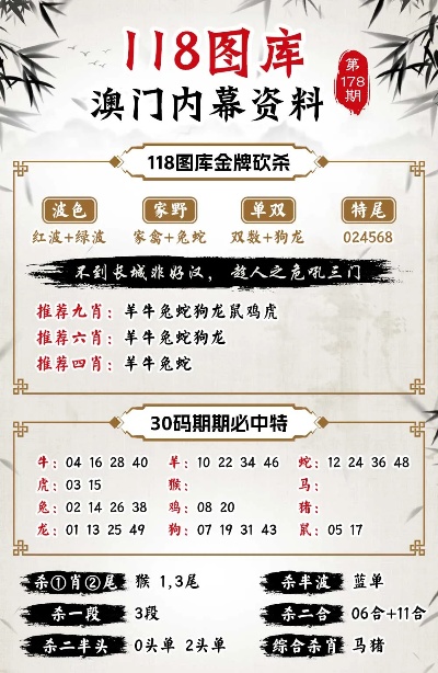 澳门管家婆100%精准准确,精选解析、解释与落实