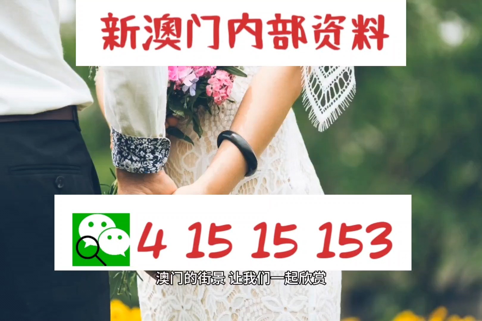 新澳门精准免费大全,词语释义、解释与落实与警惕虚假宣传-全面释义、解释与落实